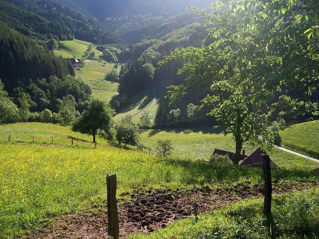 Stinneshof Oberharmersbach Εξωτερικό φωτογραφία