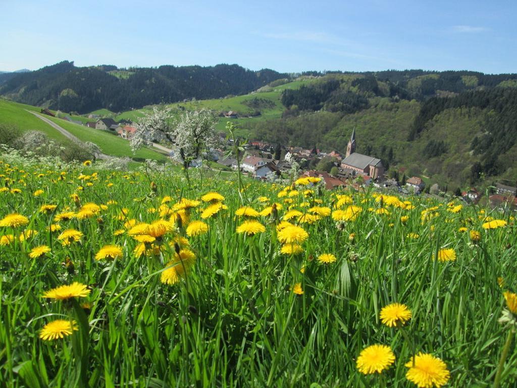 Stinneshof Oberharmersbach Εξωτερικό φωτογραφία