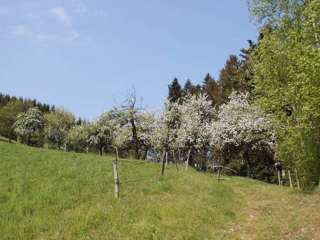 Stinneshof Oberharmersbach Εξωτερικό φωτογραφία